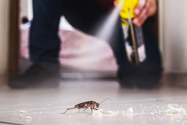 Best Best Pest Control Companies  in Orange, OH